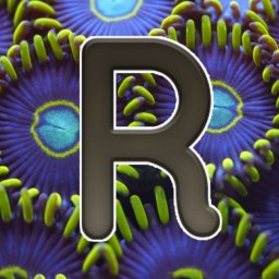 Photo de Récifal News