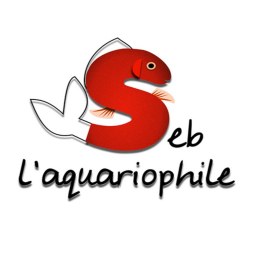 Photo de Seb l'aquariophile