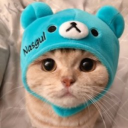 Photo de Nasgulfn