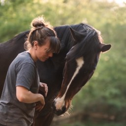 Photo de Carnet d'une Cavalière
